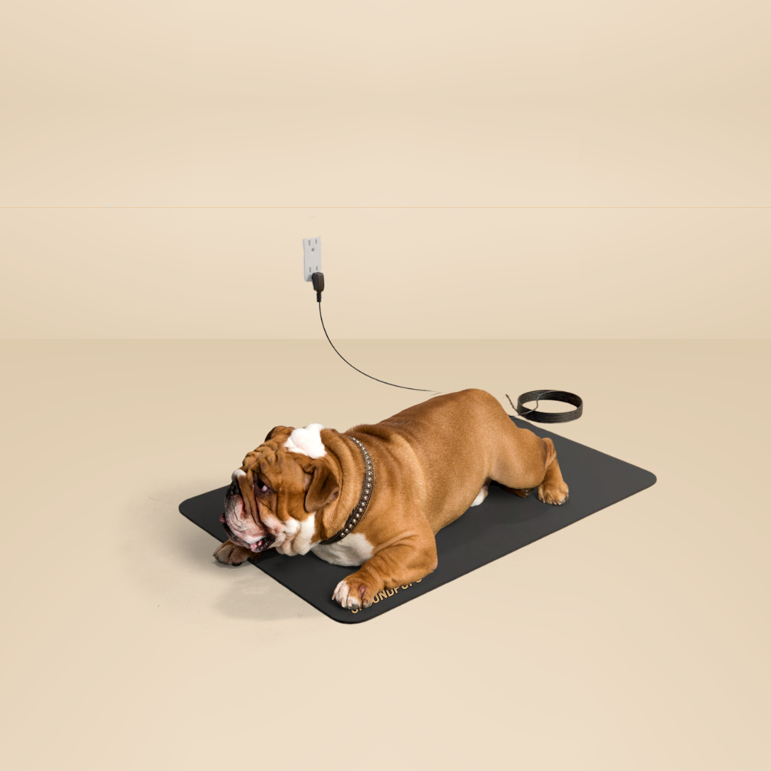 Grounding Mat for Dogs - Natural Stress & Anxiety Relief